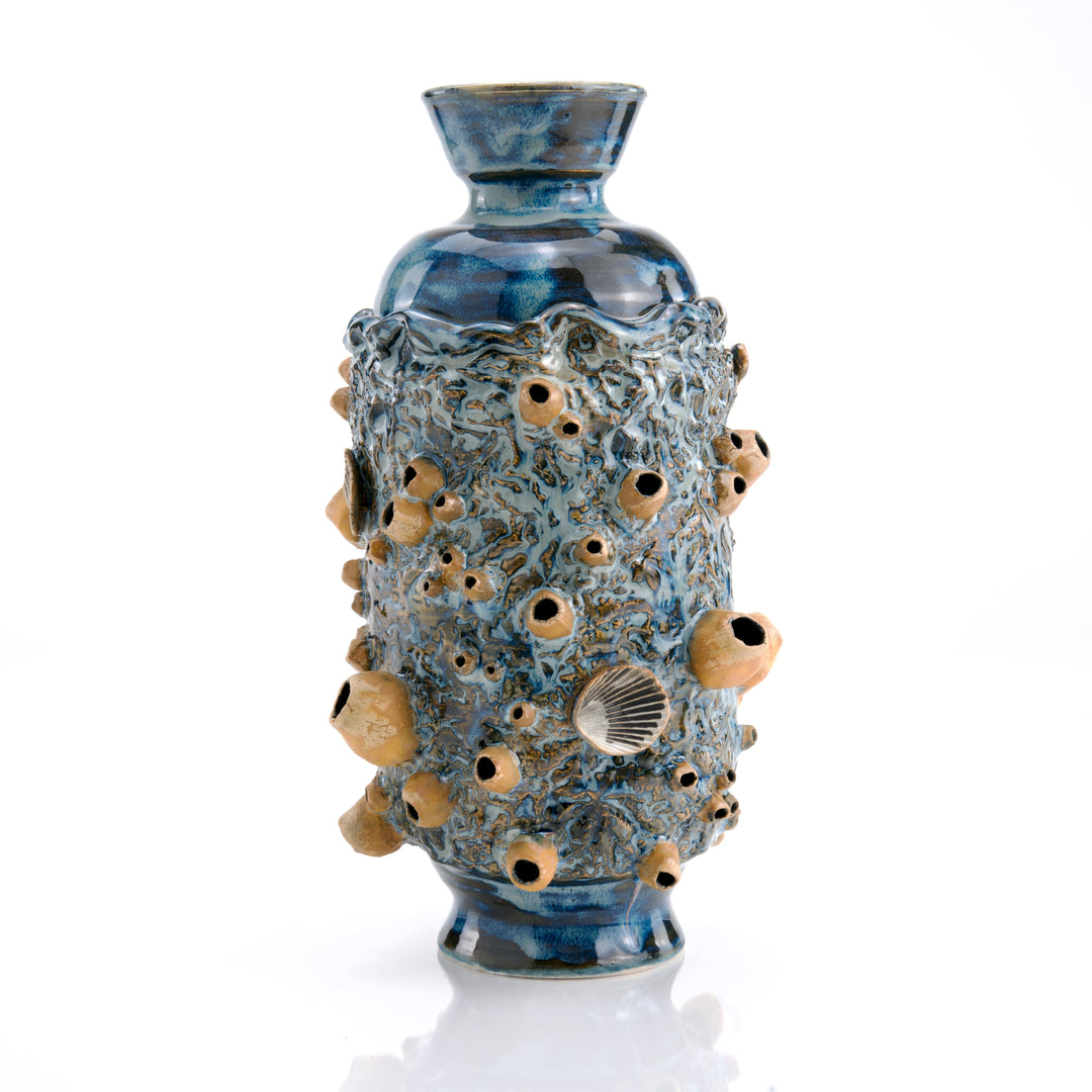 Barnacle Vessel - Low Tide
