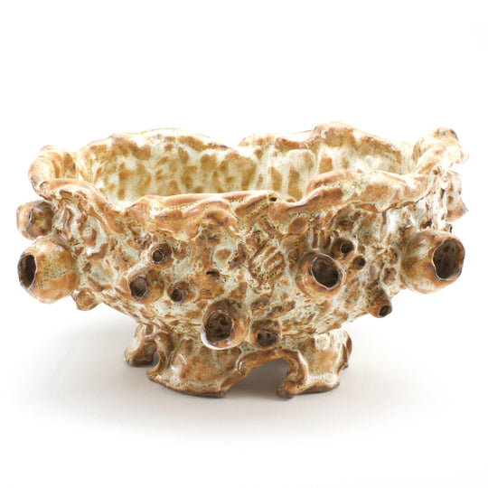 Ceramic Bowl / Planter | Nutmeg Barnacle Bowl - Meghan Bergman Ceramics
