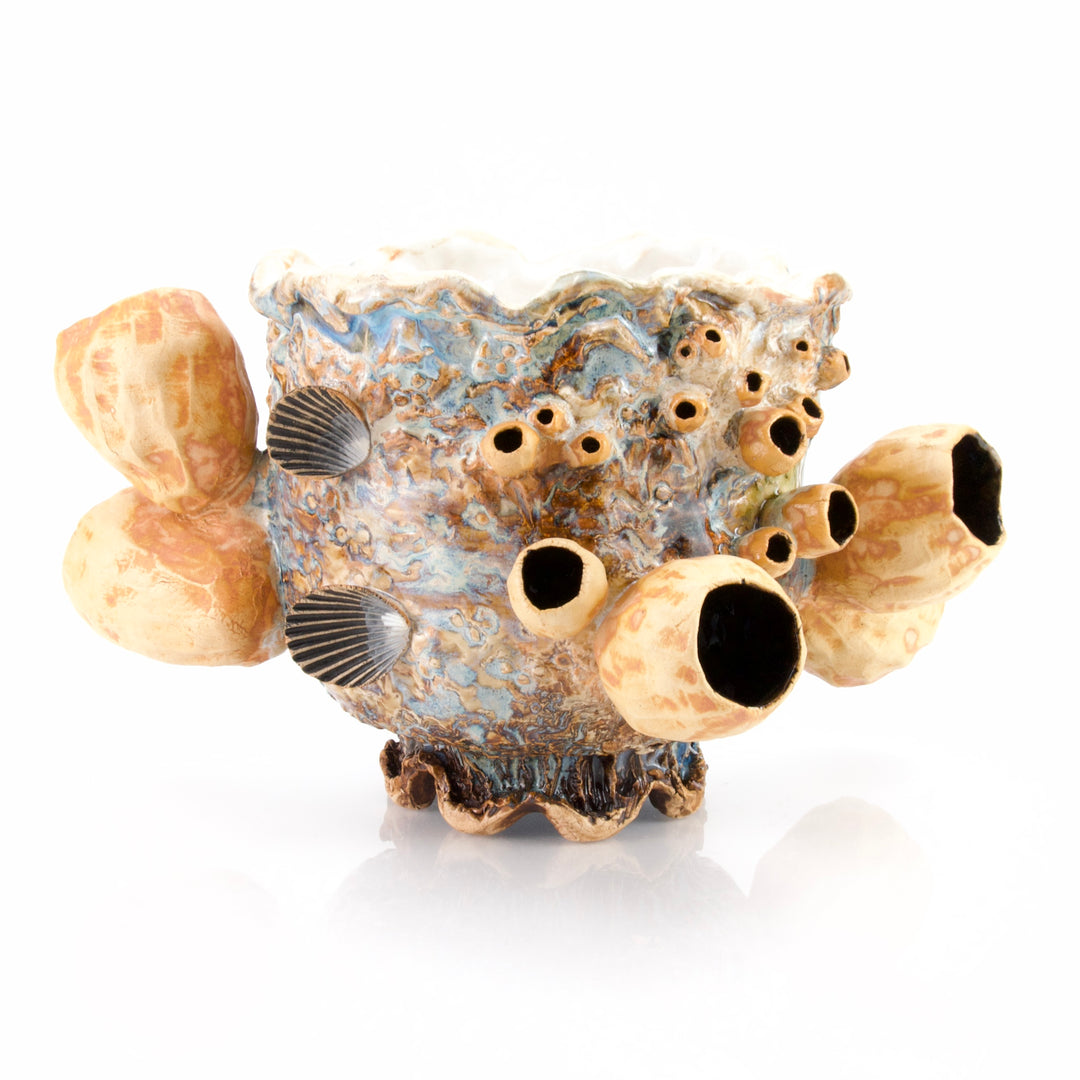 Large Barnacle Bowl - Oyster Pearl