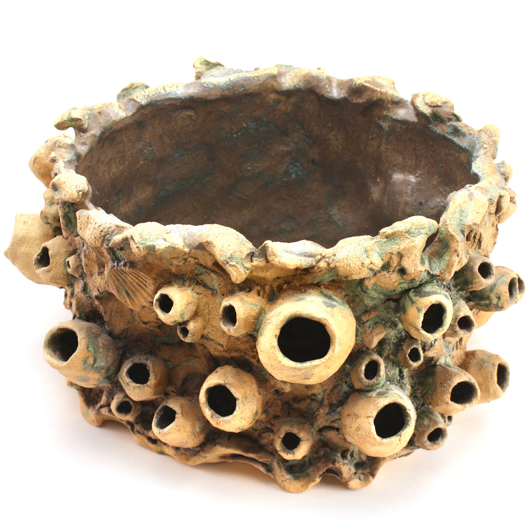 Barnacle Planter Pot with Plant | Meghan Bergman Ceramics