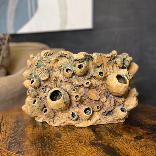 Large Barnacle Sculpture/ Planter - Tan with Oxides